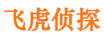 肥乡外遇出轨调查取证